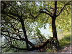 foto Lago di Toblino